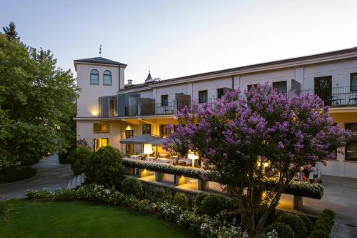 Barge Hotel | Alter Hotel