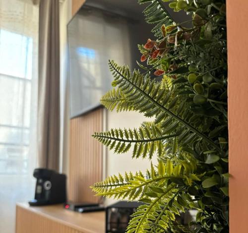 Bourges Apartment | Cocon du Berry cœur historique