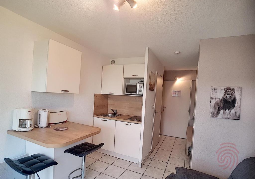 Lamalou-les-Bains Apartment | Studio rénové, proche centre-ville et thermes, avec jardin, WIFI, animaux acceptés - FR-1-451-62