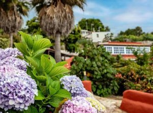 Finca La Chamusca | Santa Barbara