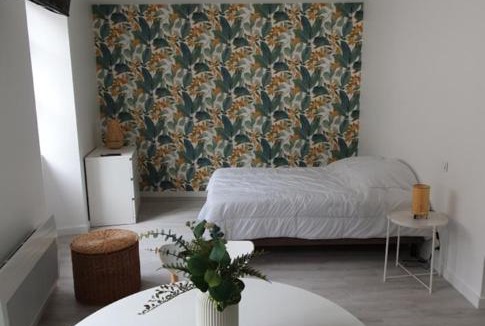 Bourgueil Apartment | Agréable studio