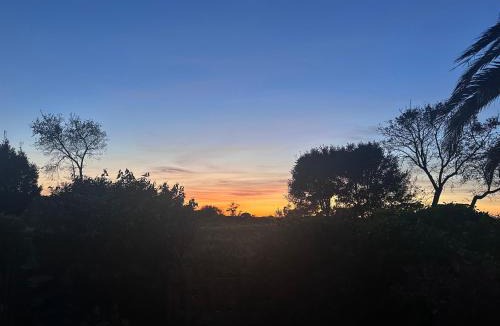 Anglet Apartment | Argiena