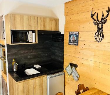 Premanon Apartment | Babaute 7, studio typique au pied des pistes