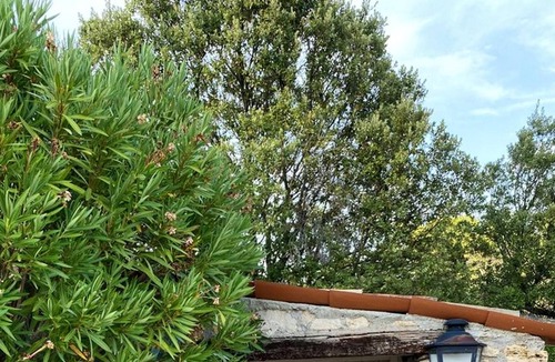 Entrecasteaux Villa | Homerez - Villa for 12 ppl. with swimming-pool and garden at Entrecasteaux