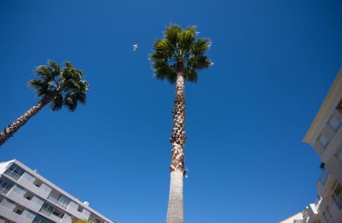 Pointe Croisette Apartment | Le Parc Pointe Croisette