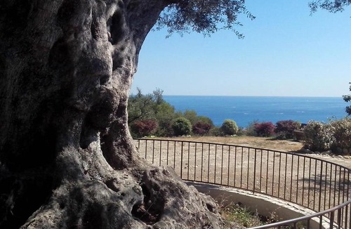 Saint Pierre de Feric Apartment | Nice garden