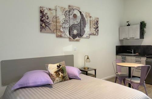 Boyer Apartment | nuitzen