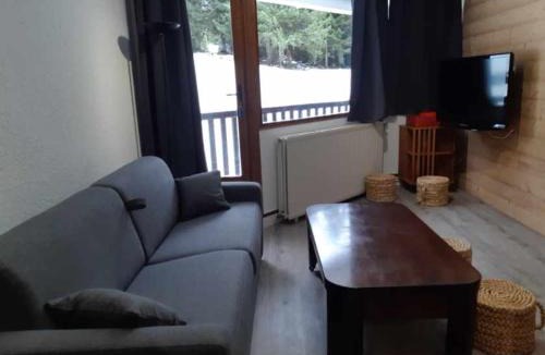 Chamrousse Apartment | Panoramic