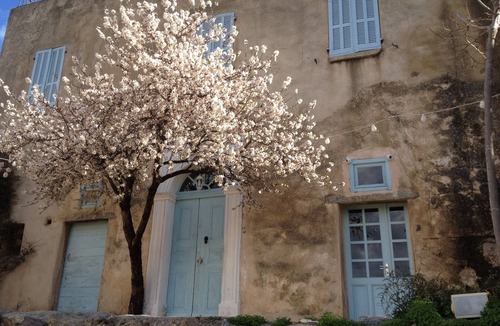 Pigna House | Pigna: Charming village house, 5 km from the sea, vaulted and whitewashed