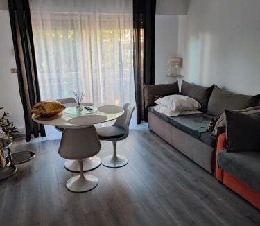 Cimiez Apartment | Studio 31 m²