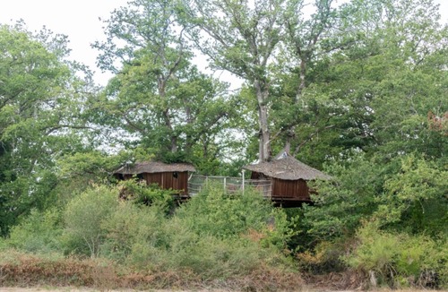Pierrefitte-sur-Sauldre Cottage | Tree-house Forest Camp 5/6p 2Bdrms