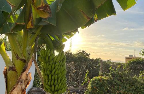Punta del Hidalgo House | Un Paraiso En Tenerife