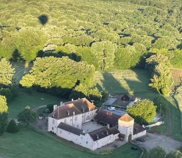 Asquins House | Viola