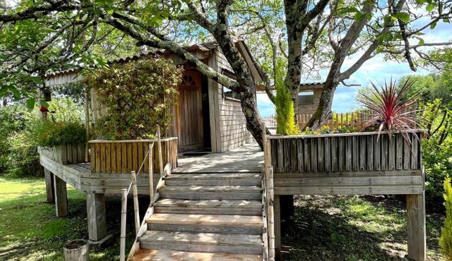 Cabane en bois climatisée