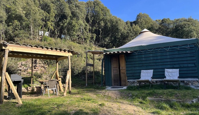 Cabane olivese