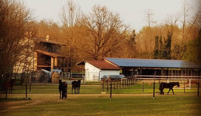 Cameloth B&B