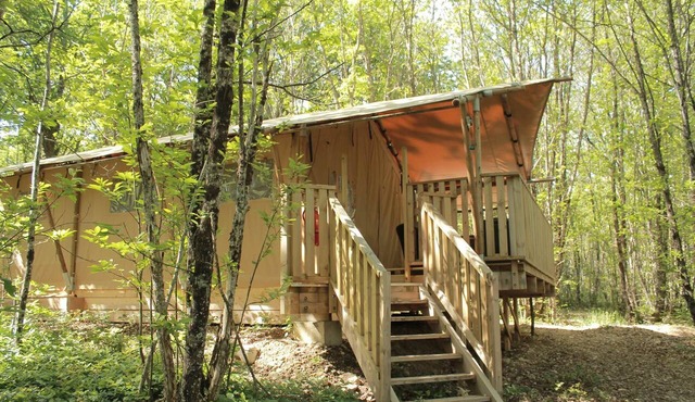 Forest Lodge Tent