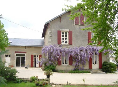 Les Vieilles Vignes