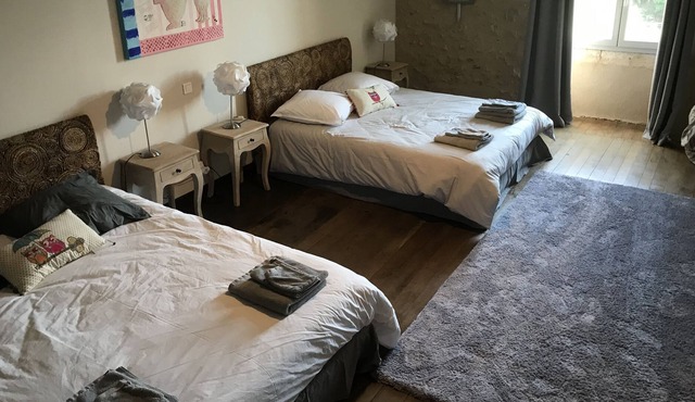 Lovely XVth Century house with chimney, for 12 people. Pool. Terrace