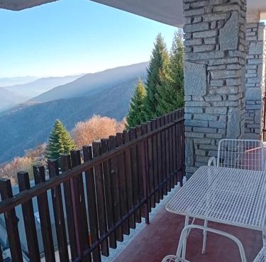 Panoramic Eagle