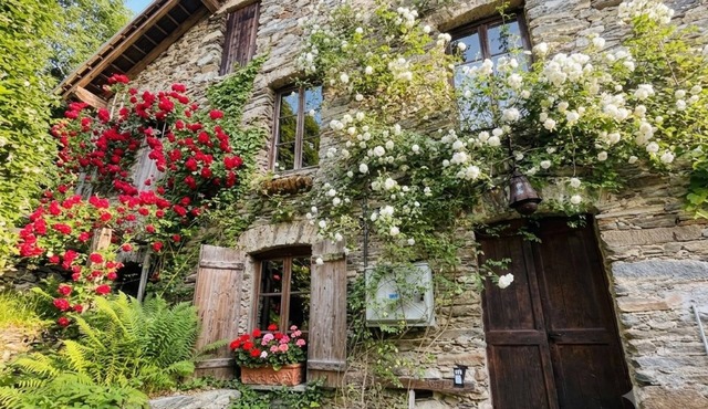 Unique rustic Riverside Mill, river access, secluded lake, hot tub+amazing views