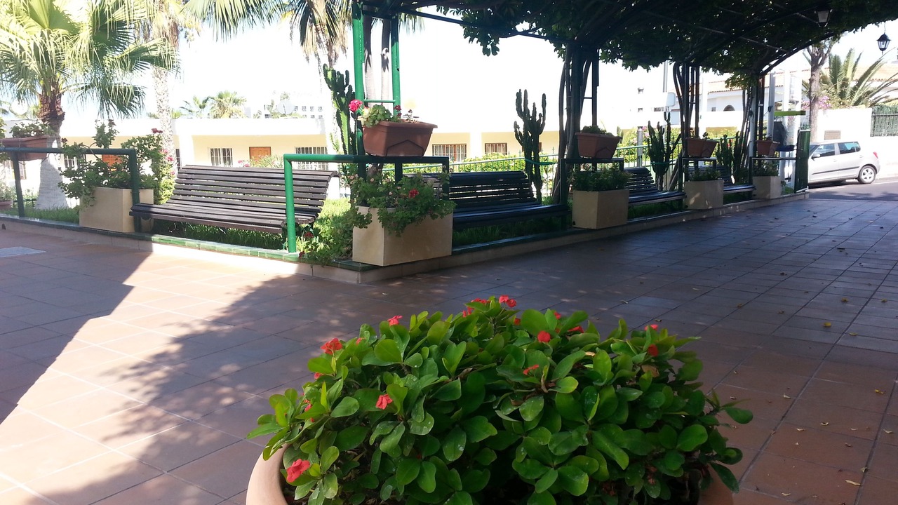 Photo of Outdoor in Los Gigantes