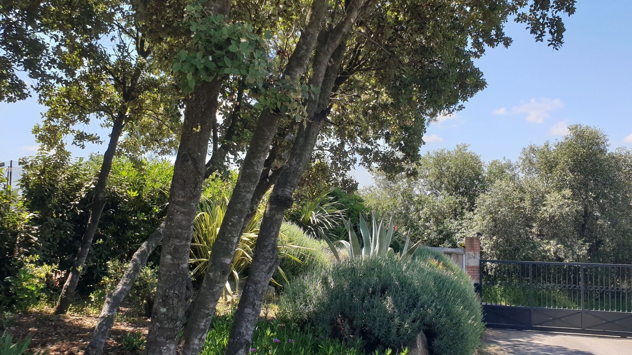 Photo of Outdoor in Bessan