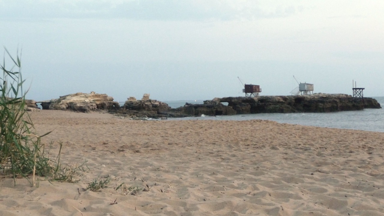 Photo of Others in Saint-Palais-sur-Mer