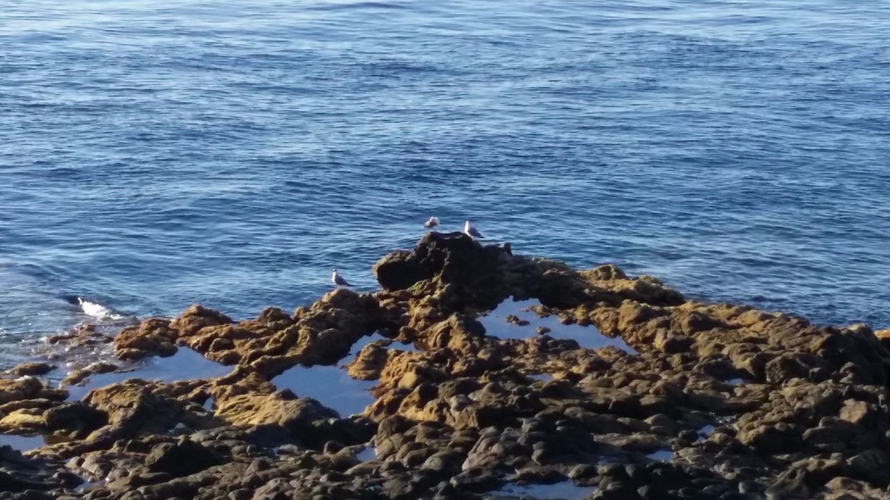 Photo of Outdoor in Punta Prieta