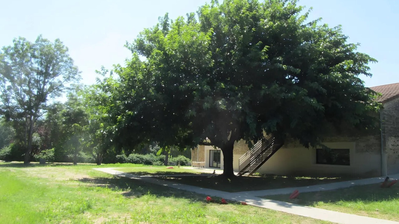 Photo of Outdoor in Montoison