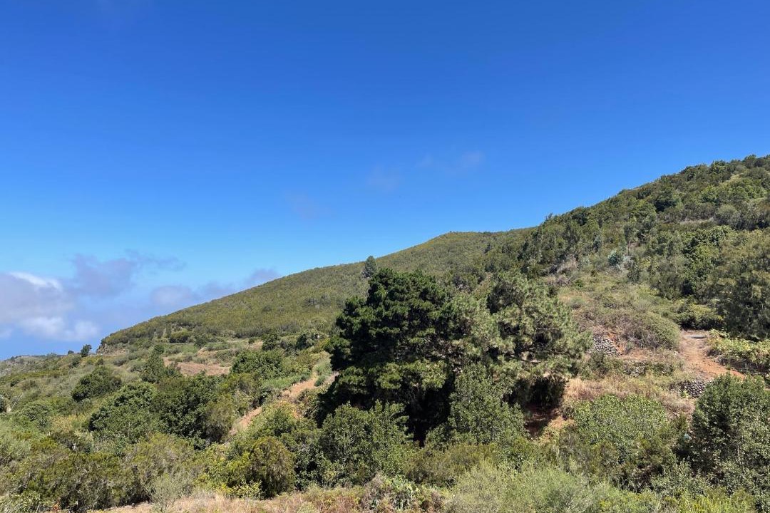 Photo of Others in Erjos